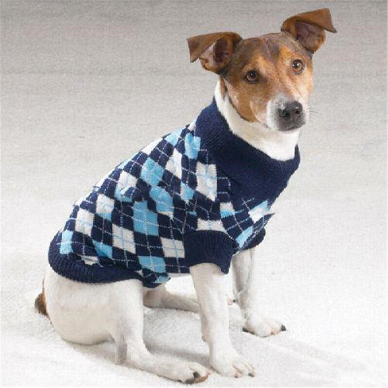Comfortable & Exclusive Dog Sweater
