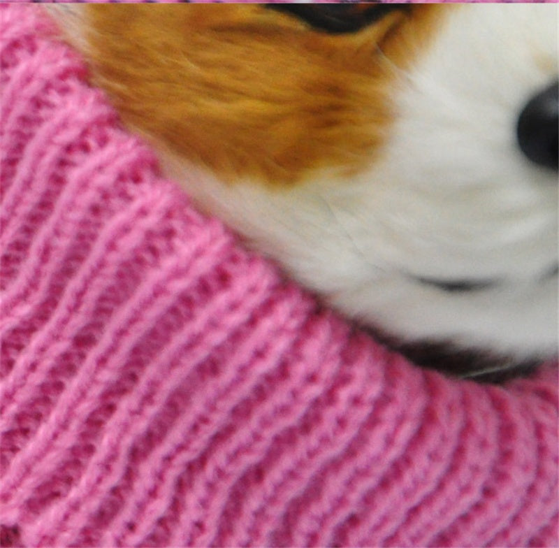 Comfortable & Exclusive Dog Sweater