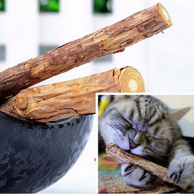 2 Pcs Natural Matatabi Catnip Teeth Cleaning Sticks