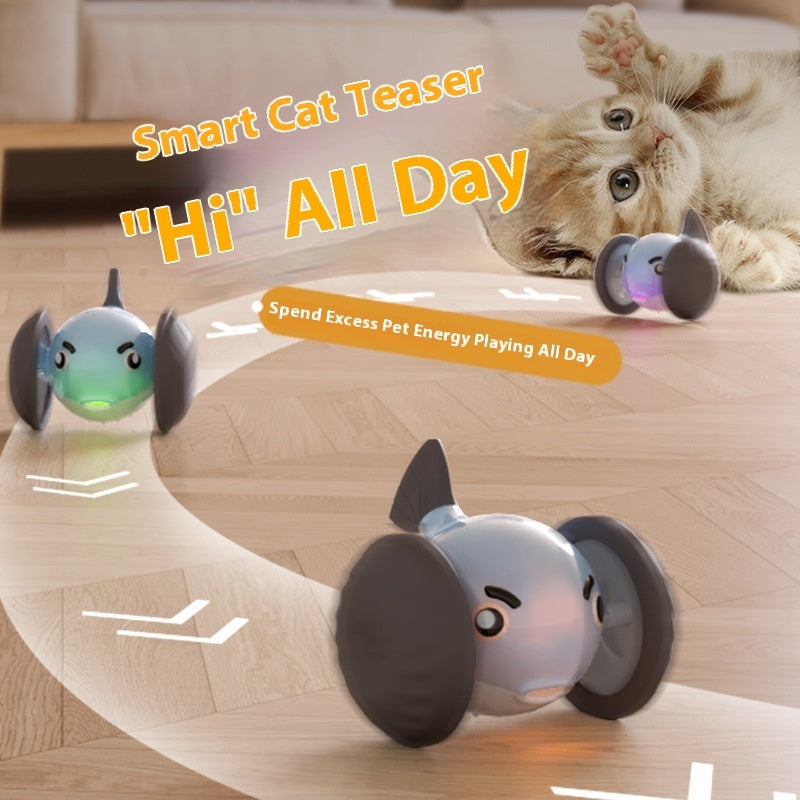 Pet Smart Sports Car Walking Cat Walking Dog Self-Hi Relieving Stuffy Toy