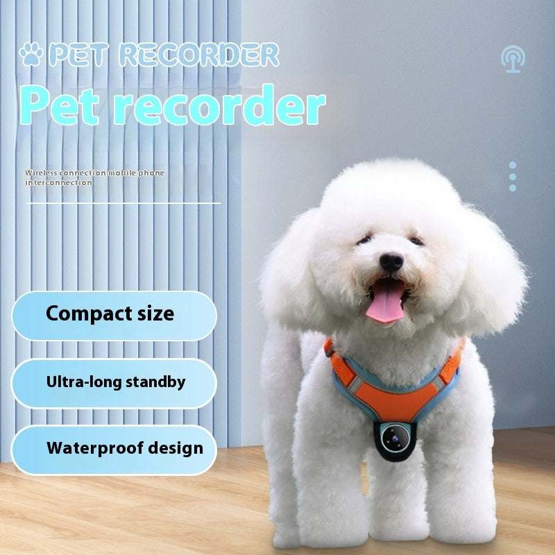Pets Recorder Pet Tracker Collar Dogs And Cats Viewing Angle Motion Recording Camera Action Camera With Video Records