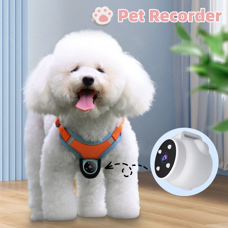 Pets Recorder Pet Tracker Collar Dogs And Cats Viewing Angle Motion Recording Camera Action Camera With Video Records